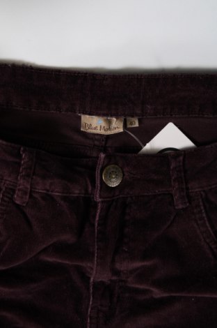 Pantaloni de velvet de femei Blue Motion, Mărime M, Culoare Mov, Preț 13,35 Lei