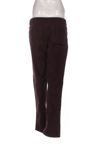 Pantaloni de velvet de femei Blue Motion, Mărime M, Culoare Mov, Preț 13,35 Lei