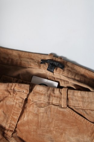 Дамски джинси Esprit, Размер M, Цвят Бежов, Цена 7,25 лв.