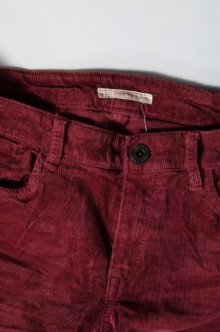 Γυναικείο κοτλέ παντελόνι Esprit, Μέγεθος M, Χρώμα Κόκκινο, Τιμή 3,95 €