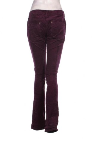 Γυναικείο κοτλέ παντελόνι Gina, Μέγεθος M, Χρώμα Βιολετί, Τιμή 3,77 €