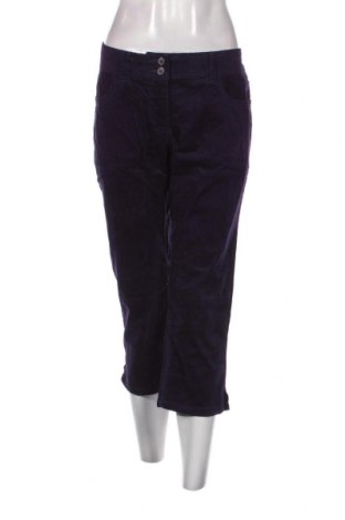 Pantaloni de velvet de femei H&M, Mărime M, Culoare Mov, Preț 14,31 Lei