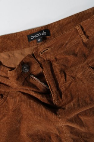 Дамски къс панталон Chicoree, Размер S, Цвят Кафяв, Цена 19,00 лв.