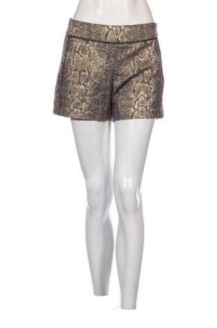 Γυναικείο κοντό παντελόνι Morgan, Μέγεθος M, Χρώμα Πολύχρωμο, Τιμή 3,86 €