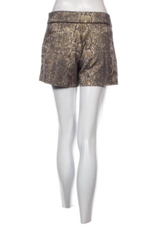 Γυναικείο κοντό παντελόνι Morgan, Μέγεθος M, Χρώμα Πολύχρωμο, Τιμή 14,85 €