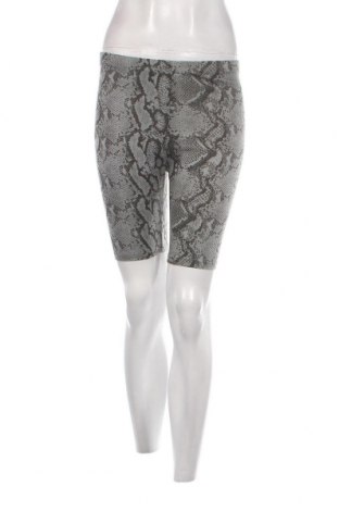 Damen Shorts Outrageous Fortune, Größe S, Farbe Grün, Preis 5,57 €