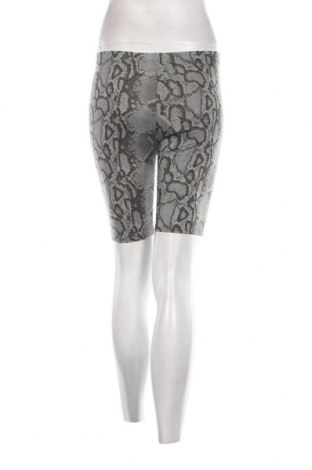 Damen Shorts Outrageous Fortune, Größe S, Farbe Grün, Preis € 5,57