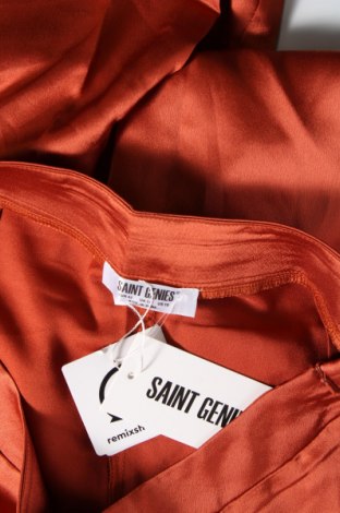 Γυναικείο παντελόνι Saint Genies, Μέγεθος L, Χρώμα Καφέ, Τιμή 4,93 €