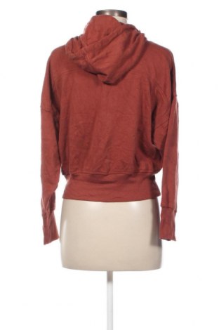 Damen Sweatshirt, Größe S, Farbe Braun, Preis € 3,83