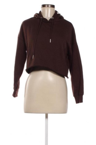 Damen Sweatshirt Fb Sister, Größe XS, Farbe Braun, Preis € 3,03