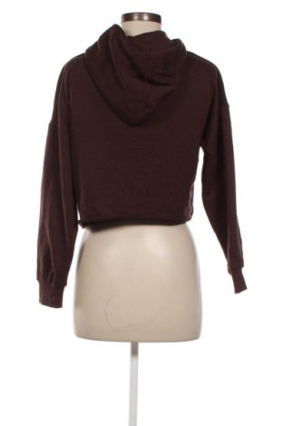 Damen Sweatshirt Fb Sister, Größe XS, Farbe Braun, Preis 3,03 €
