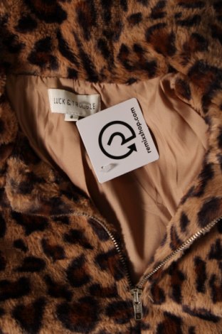 Dámska bunda , Veľkosť S, Farba Viacfarebná, Cena  27,22 €