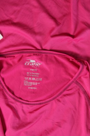 Παιδική μπλούζα αθλητική Crane, Μέγεθος 15-18y/ 170-176 εκ., Χρώμα Ρόζ , Τιμή 3,40 €
