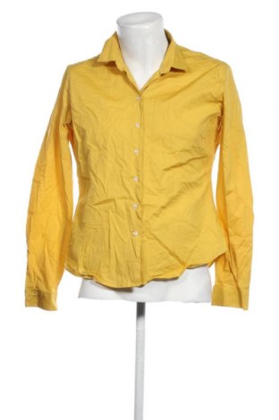 Ανδρικό πουκάμισο, Μέγεθος L, Χρώμα Κίτρινο, Τιμή 2,87 €