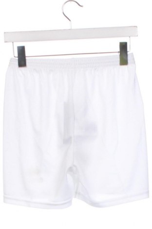 Мъжки къс панталон Erima, Размер XS, Цвят Бял, Цена 5,27 лв.