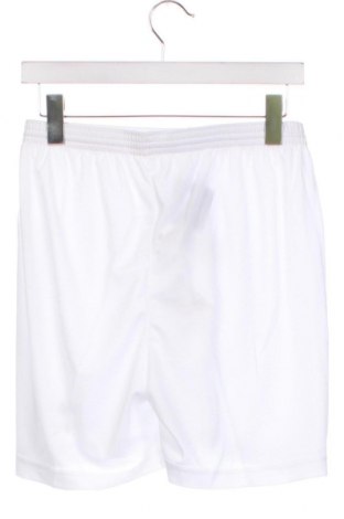 Ανδρικό κοντό παντελόνι Erima, Μέγεθος S, Χρώμα Λευκό, Τιμή 3,84 €