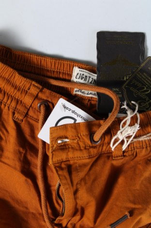 Мъжки панталон Eight2Nine, Размер XS, Цвят Кафяв, Цена 15,66 лв.