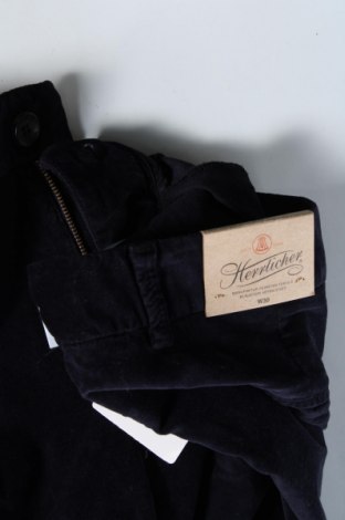Ανδρικό παντελόνι Herrlicher, Μέγεθος S, Χρώμα Μπλέ, Τιμή 7,48 €