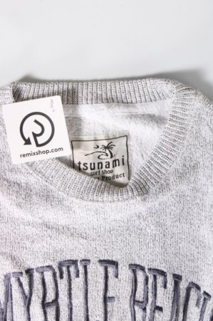 Ανδρικό πουλόβερ Tsunami, Μέγεθος S, Χρώμα Γκρί, Τιμή 13,46 €