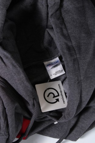 Ανδρικό φούτερ Gildan, Μέγεθος S, Χρώμα Γκρί, Τιμή 8,77 €