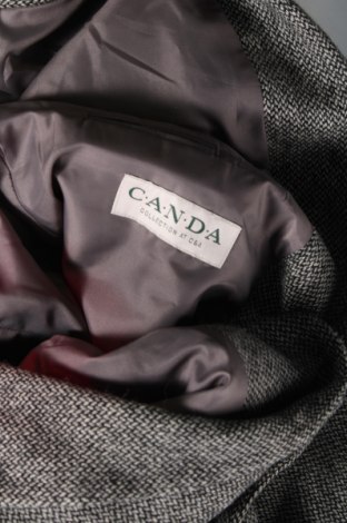Pánske sako  Canda, Veľkosť XL, Farba Sivá, Cena  3,99 €