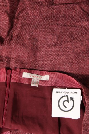 Φούστα Esprit, Μέγεθος S, Χρώμα Ρόζ , Τιμή 2,69 €