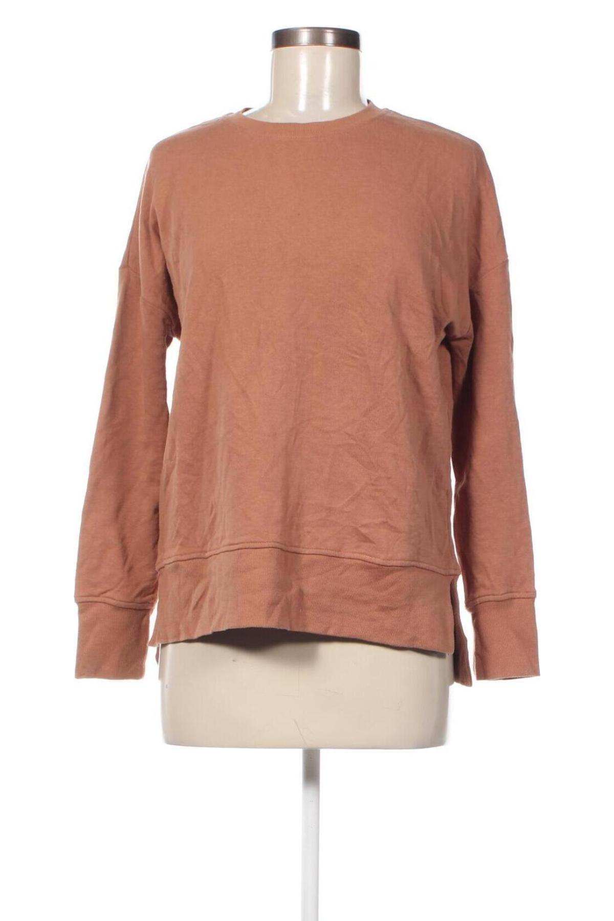 Damen Shirt Anko, Größe S, Farbe Braun, Preis € 3,99