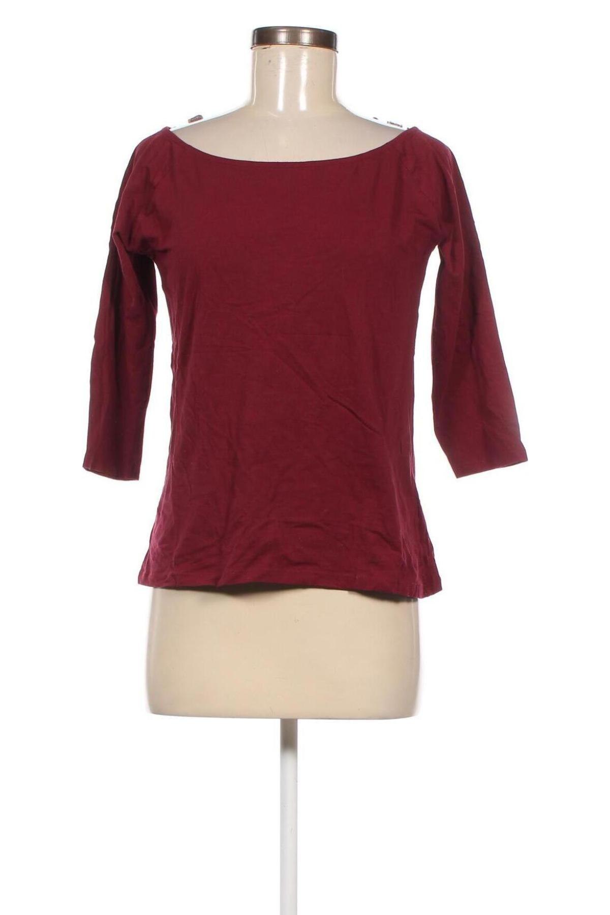 Damen Shirt Chicoree, Größe L, Farbe Rot, Preis 2,38 €