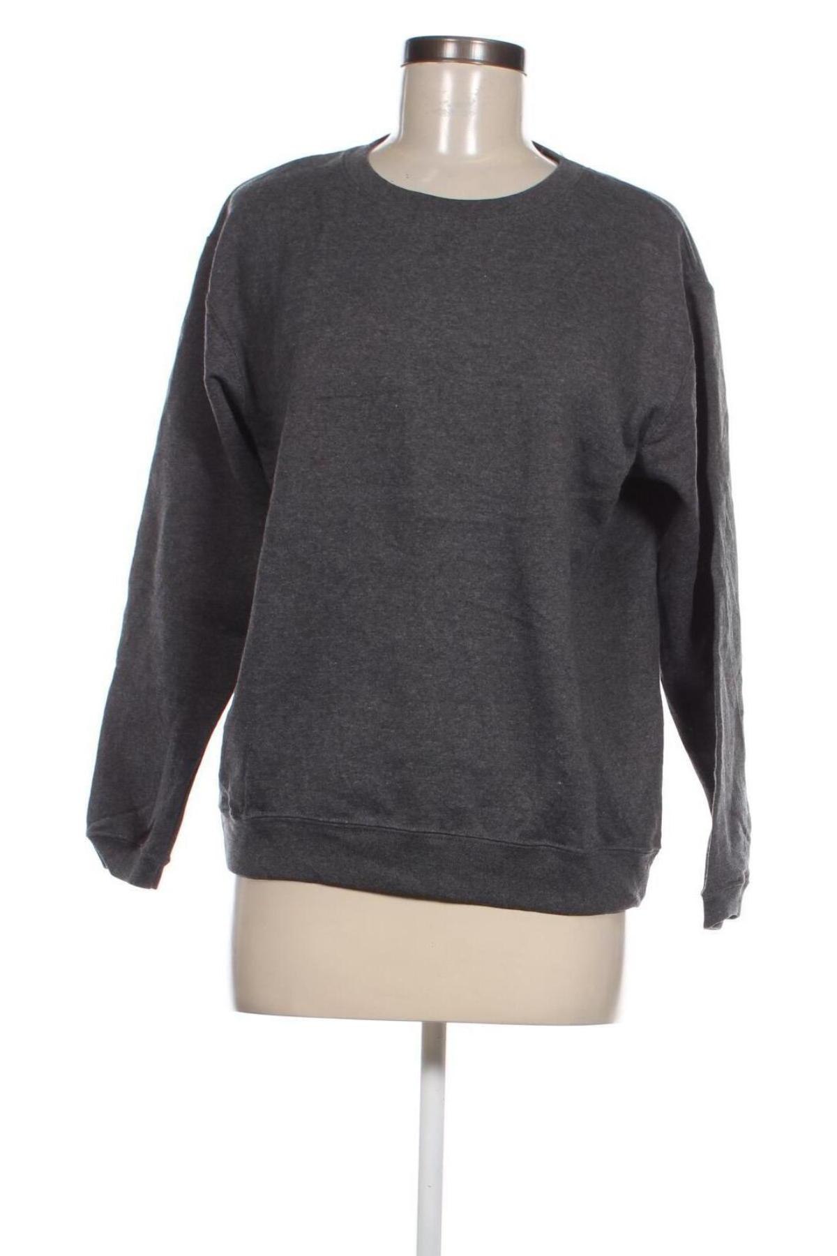 Γυναικεία μπλούζα Hanes, Μέγεθος S, Χρώμα Γκρί, Τιμή 4,11 €