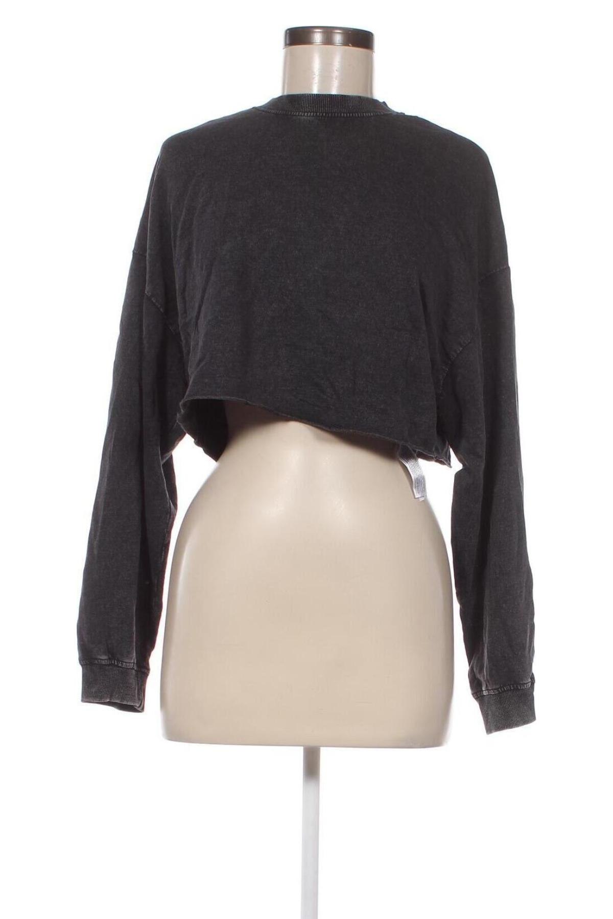 Γυναικεία μπλούζα Terranova, Μέγεθος S, Χρώμα Γκρί, Τιμή 11,75 €