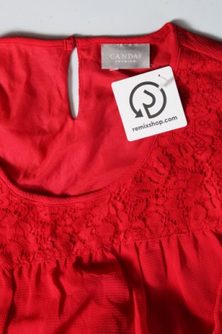 Damen Shirt Canda, Größe L, Farbe Rot, Preis 6,99 €