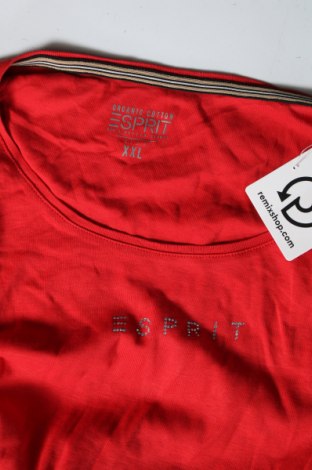 Γυναικεία μπλούζα Esprit, Μέγεθος XXL, Χρώμα Κόκκινο, Τιμή 16,49 €