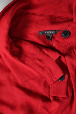 Damen Shirt Esprit, Größe XS, Farbe Rot, Preis € 23,99