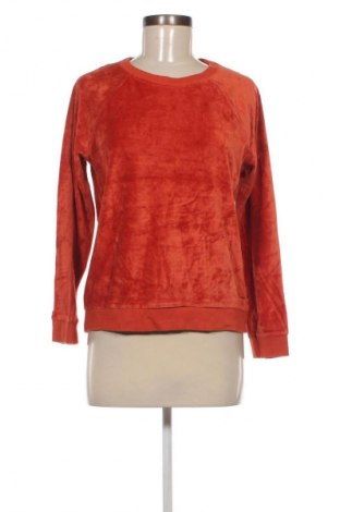 Damen Shirt Lexington, Größe S, Farbe Orange, Preis 28,99 €