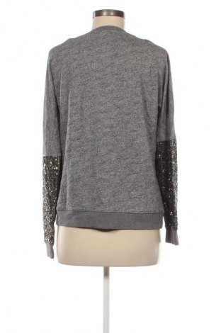 Damen Shirt Maison Scotch, Größe M, Farbe Grau, Preis 11,99 €