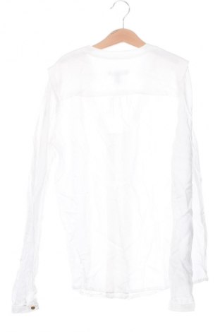 Damen Shirt Mango, Größe XS, Farbe Weiß, Preis € 9,49