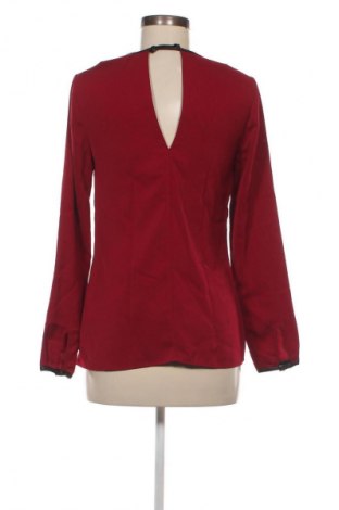 Damen Shirt Warehouse, Größe XS, Farbe Rot, Preis 23,99 €