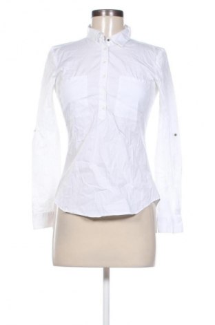 Damen Shirt Zara, Größe M, Farbe Weiß, Preis € 18,99