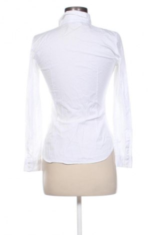 Damen Shirt Zara, Größe M, Farbe Weiß, Preis € 18,99