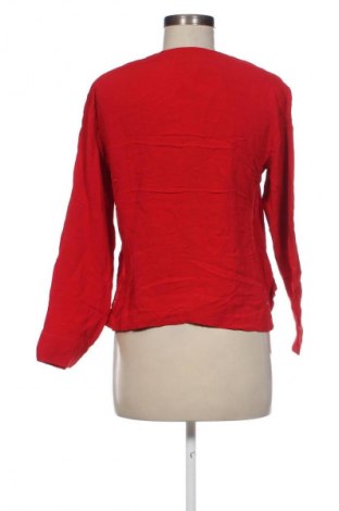 Damen Shirt Zara, Größe XS, Farbe Rot, Preis 9,99 €