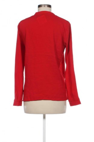 Damen Shirt Zara, Größe M, Farbe Rot, Preis € 8,99