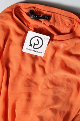 Damen Shirt Zara, Größe XS, Farbe Orange, Preis 18,99 €