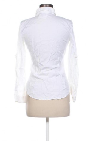 Damen Shirt Zara, Größe M, Farbe Weiß, Preis 9,99 €