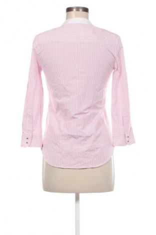 Damen Shirt Zara, Größe S, Farbe Mehrfarbig, Preis 9,99 €