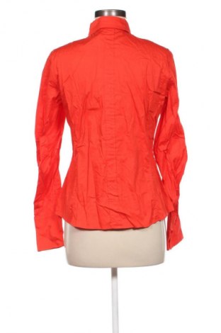 Damenbluse Apriori, Größe M, Farbe Rot, Preis € 9,49