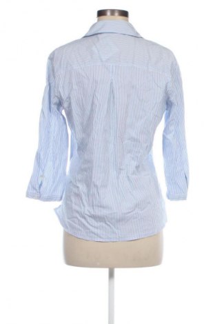 Damenbluse Betty Barclay, Größe M, Farbe Blau, Preis 12,99 €