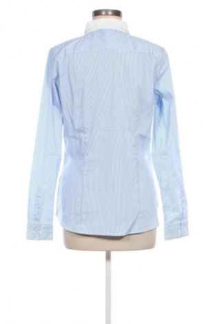 Damenbluse H&M, Größe XL, Farbe Blau, Preis € 13,00