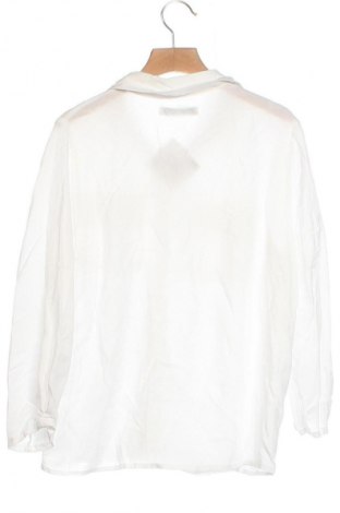 Damenbluse Pull&Bear, Größe XS, Farbe Weiß, Preis 12,79 €