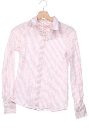 Damenbluse Ted Baker, Größe XS, Farbe Rosa, Preis € 23,99