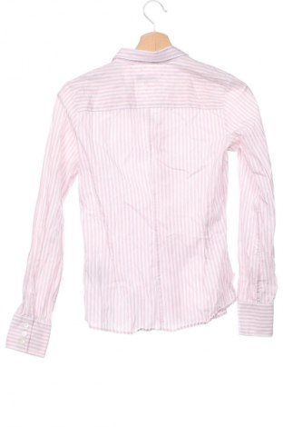 Damenbluse Ted Baker, Größe XS, Farbe Rosa, Preis € 23,99